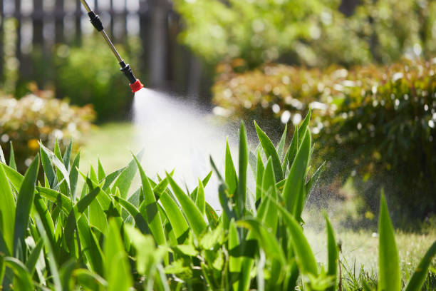 24/7 Emergency Termite Control experts in Clarcona, FL