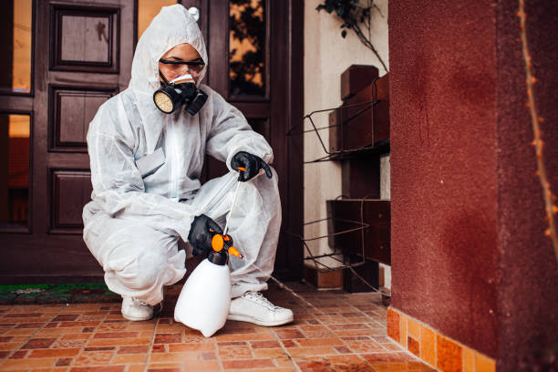 Reliable Termite Control contractor in Clarcona, FL by Nex Pest Control