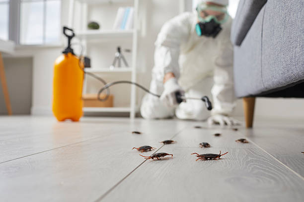 Affordable Termite Control solutions in Clarcona, FL